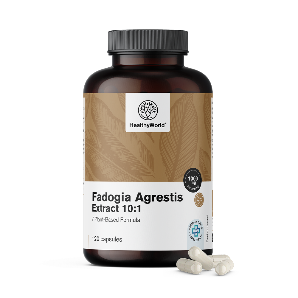 Fadogia Agrestis 1000 mg in Kapseln.