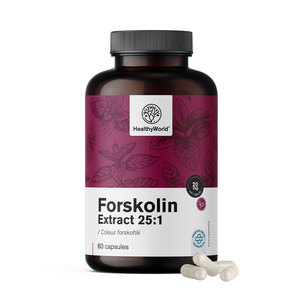 Forskolin – Extrakt aus Indischer Buntnessel 20 mg