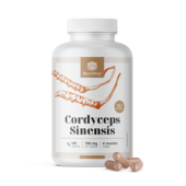 Cordyceps sinensis 1400 mg – Extrakt 10:1, 180 Kapseln